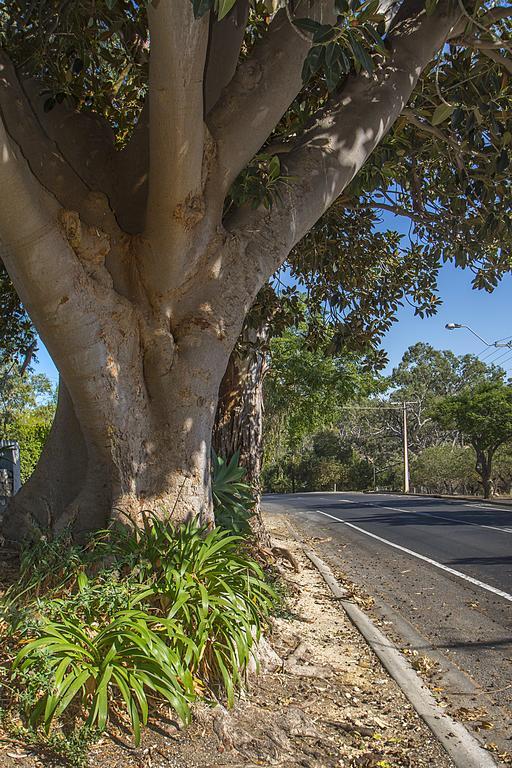 Stoneleigh Cottage Bed And Breakfast Angaston Εξωτερικό φωτογραφία
